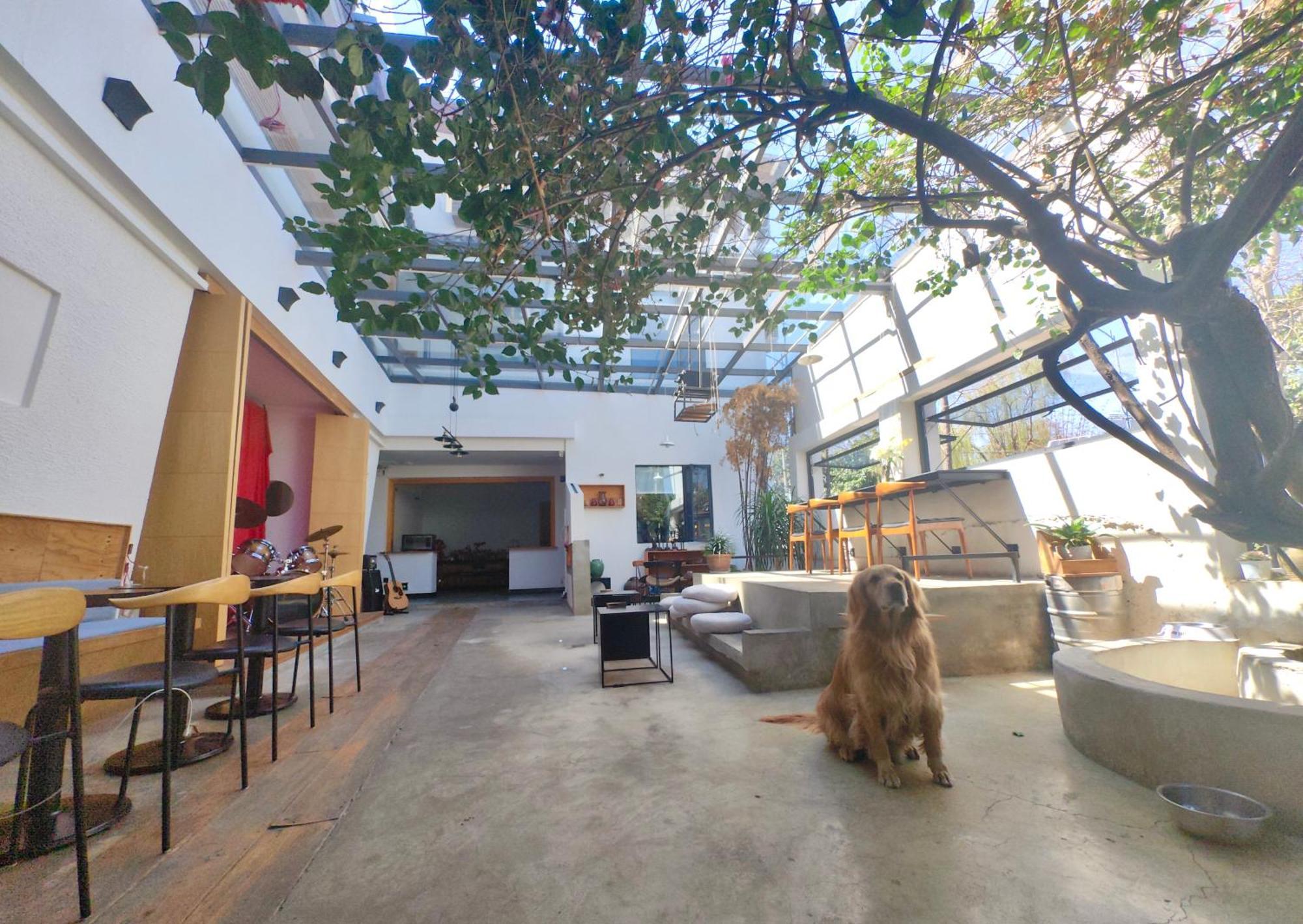 Dali Loft Travelling With Hostel Exterior foto